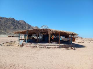AL JASMINE Camp - 1