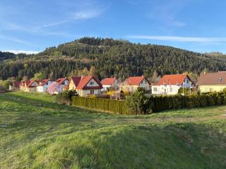 Villy Vlašky - 7