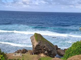 Spacious Central Countryside Apartment Saint George Barbados - 1