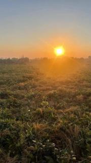 Apna farm Homestay - 5