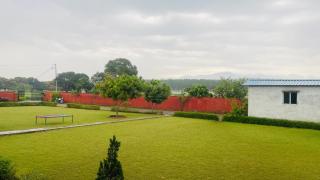 Apna farm Homestay - 3