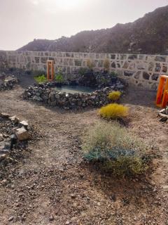 BR retreat and zen garden - 9