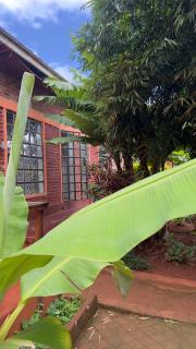 therealsonofjohnhomestay - 8