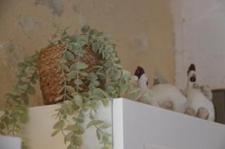 Gite Le Cozy - 9