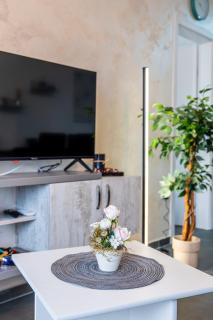Apartman Goga 1 - 3