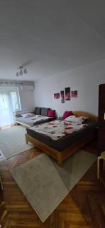Tisza-parti Napfény Apartman - Szeged - 5