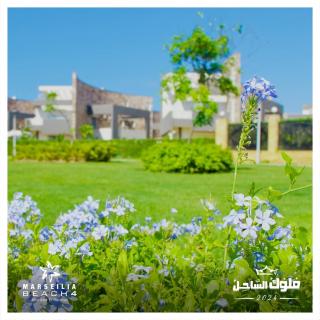 كابيلا - 3