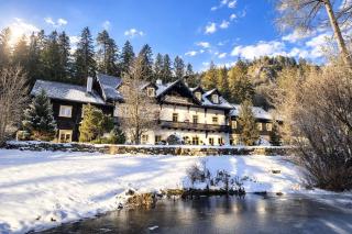 Bergnest im Prielkreuz - Großes Appartment im Ski und Wandergebiet - 0