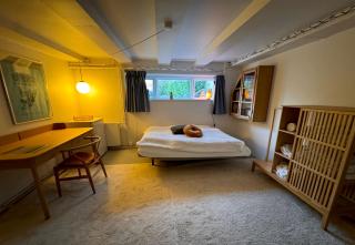 Cozy and Spacious Guest House, Virum - 8