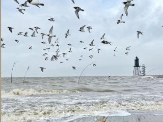 De Prigg Wohlfühlen am Nordseedeich - 1