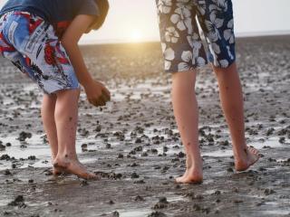 De Prigg Wohlfühlen am Nordseedeich - 1