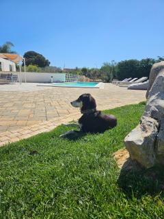 Villa Nilde - 6