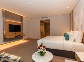 The - Grand EL DE Imperial Near International Airport Delhi - 8
