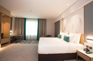 The - Grand EL DE Imperial Near International Airport Delhi - 7
