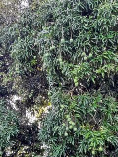 Eileens Place - 3