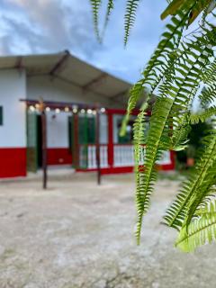 La finca de dulce - 4