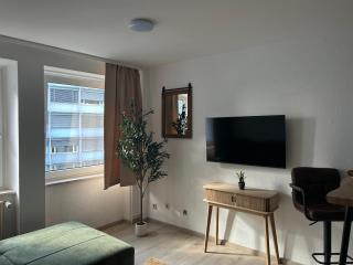 NOBLE APART Saarbrücken City Center - 1