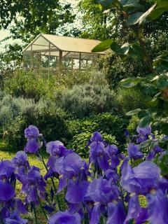 B&B Ostria Vento - 8