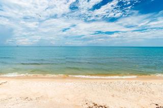 Gulf Front Paradise - Swim Spa Dolphin Spotting and Beach at Your Doorstep - 7