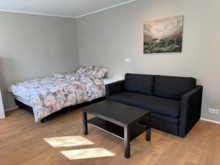 Wonderful studio apartment in central Reykjavík - 6