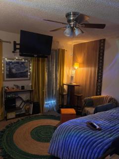 Van Gogh Stay Near UA Game Day Private Room - 3