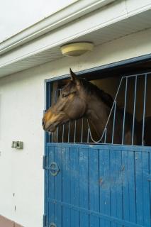 Private Room near Rock of Cashel and Workspace - 8