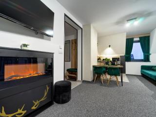 Willa Lux Wolf JACUZZI&SAUNA&GROTA SOLNA - 2