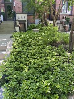 Charming 2BD1BA in Hip Area - Near Metro - 8