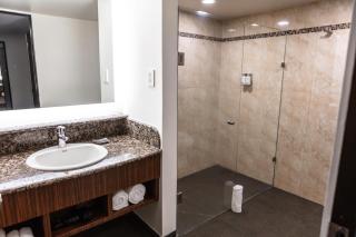 Holiday Inn Mexico City - Trade Center by IHG - 7