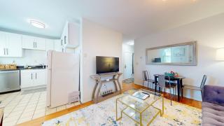 South End,2 bed, in unit lau,cen air, Northeastern - 4
