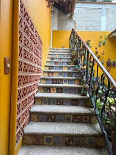 CHIK Coatepec Comfort - 3