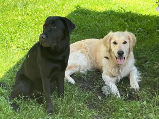 Lisa und Emely - Piesendorf - 6