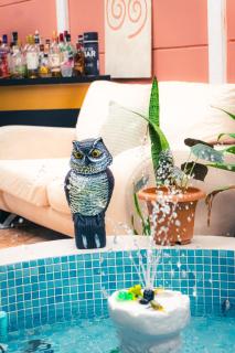 The Nomad Hostel - SJO Airport 5 min - Private, WiFi & Premium Coffee - 6