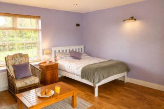 Private Room near Rock of Cashel and Workspace - 4