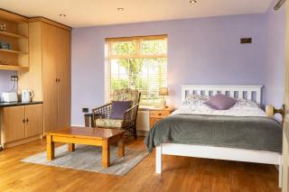 Private Room near Rock of Cashel and Workspace - 2