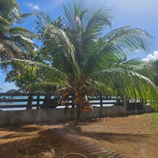 Charmante villa bord de mer les pieds dans l'eau - 0