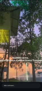 Golden Grove Treetops - 8