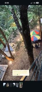 Golden Grove Treetops - 6