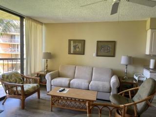 Maui Sunset #B-303 Oceanfront Complex, Epic Sunsets, Full A/C, Fitness Center - 8