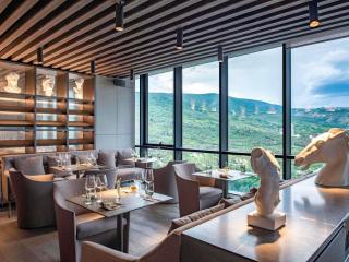 Pullman Tbilisi Axis Towers - 6