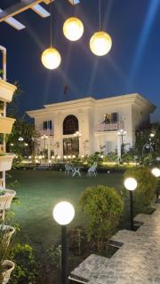 The White Lilly - 6