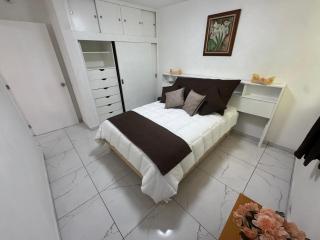 Espacioso departamento en colonia Doctores - 3