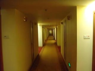Zhengzhou Airport Hotel - 6