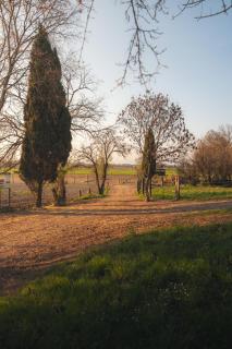 Chalet Borghetto - 4