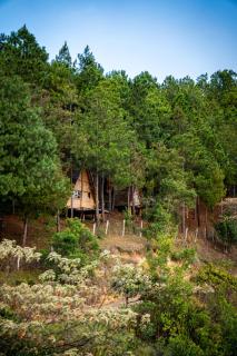 Los Pinos EcoHotel - 7