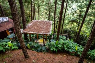 Los Pinos EcoHotel - 6