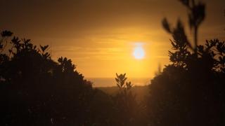 Couple Getaway in Idyllic Bethells Beach - Te Henga - 5