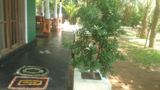 sigiriya village home stay - 2