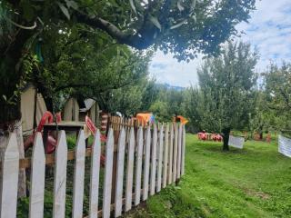 Manali Base Camp - 2