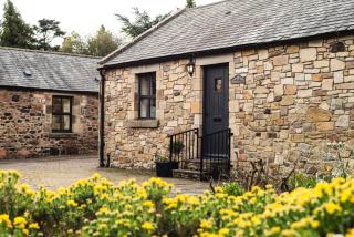 Blueberry Cottage - 9